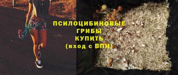 дурь Краснотурьинск